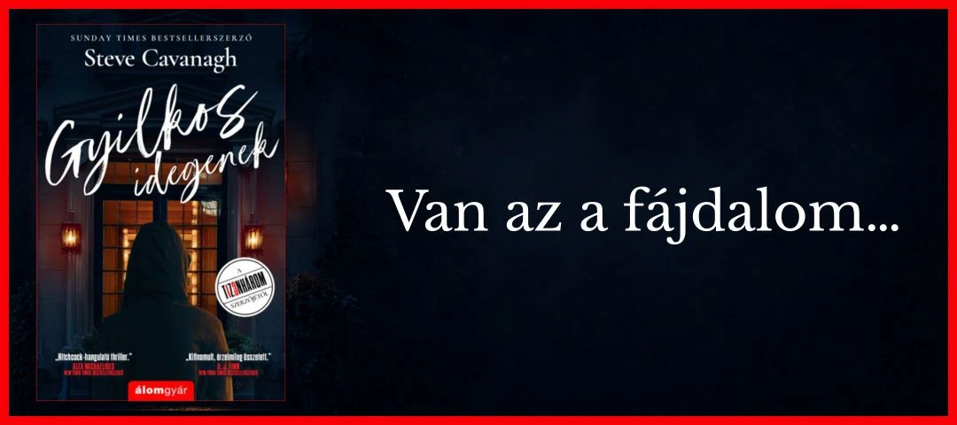 Gyilkos idegenek- Steve Cavanagh