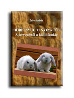 HOBBINYÚL TENYÉSZTÉS - A TERVEZÉSTŐL A KIÁLLÍTÁSOKIG