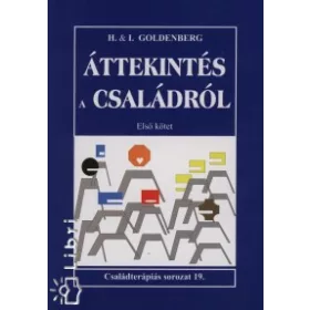   ÁTTEKINTÉS A CSALÁDRÓL - 1.KÖTET - CSALÁDTERÁPIÁS SOROZAT 19. -
