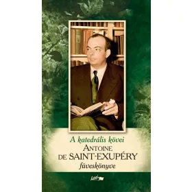   ANTOINE DE SAINT-EXUPÉRY FÜVESKÖNYVE - A KATEDRÁLIS KÖVEI