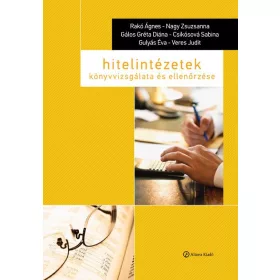 HITELINTÉZETEK KÖNYVVIZSGÁLATA ÉS ELLENŐRZÉSE