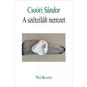 A SZÉTZILÁLT NEMZET