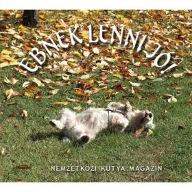 EBNEK LENNI JÓ!