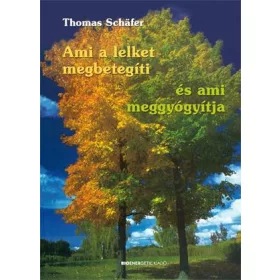   AMI A LELKET MEGBETEGÍTI - ÉS AMI MEGGYÓGYÍTJA - ÁTDOLG. KIAD.