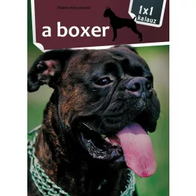 A BOXER - 1X1 KALAUZ