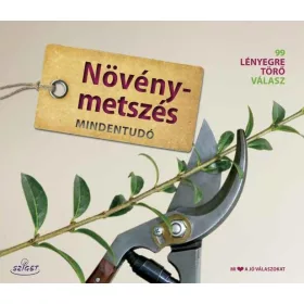 METSZÉS MINDENTUDÓ