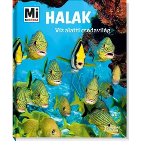 HALAK - VÍZ ALATTI CSODAVILÁG - MI MICSODA