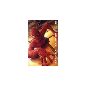 SPIDER-MAN / LEVEL 1