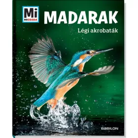 MADARAK - LÉGI AKROBATÁK - MI MICSODA