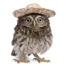 KALAPOS BAGOLY 3D KÉPESLAP 105 X 148 MM B