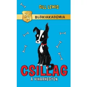GILL LEWIS: CSILLAG A VIHARHEGYEN - BLÖKIAKADÉMIA