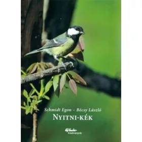 NYITNI-KÉK