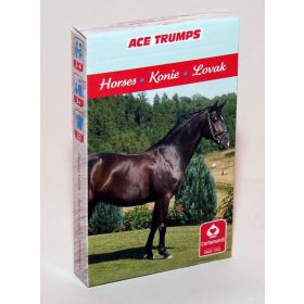 4 AZ 1-BEN / KEDVENCEINK A LOVAK KÁRTYA