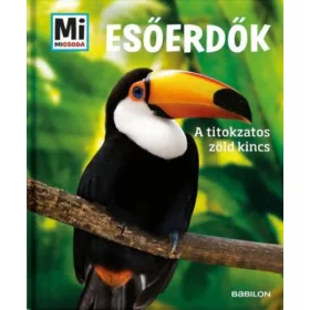 ESŐERDŐK - A TITOKZATOS ZÖLD KINCS - MI MICSODA