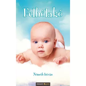 NÉMETH ISTVÁN: FELHŐLAKÓ