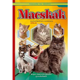   MACSKÁK - KÉPES ISMERETTERJESZTÉS GYEREKEKNEK/FEDEZZÜK FEL EGYÜTT!