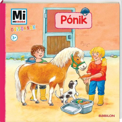 PÓNIK - MI MICSODA OVISOKNAK