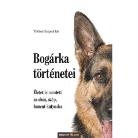   BOGÁRKA TÖRTÉNETEI - ÉLETET IS MENTETT AZ OKOS, SZÉP, HUNCUT KUTYUSKA