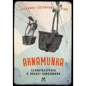 CSERÉNYI- ZSITNYÁNYI ILDIKÓ: AKNAMUNKA