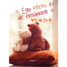   EGY KÖZÖS ÉV AZ ÉLETÜNKBŐL - TE ÉS ÉN (MACIS BORÍTÓ)