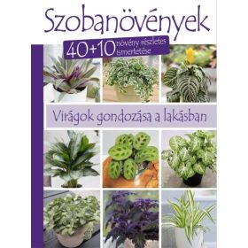 KERTI KISLEXIKON - NÉGY ÉVSZAK TENNIVALÓI