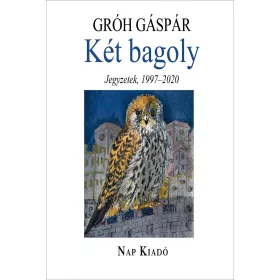 KÉT BAGOLY - TŰNŐDÉSEK, 1997-2020