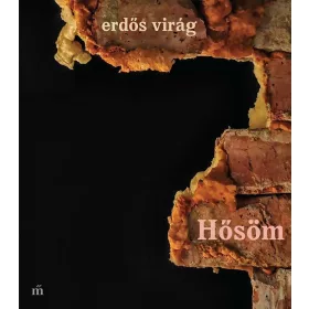 HŐSÖM