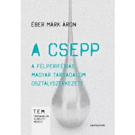   A CSEPP - A FÉLPERIFÉRIÁS MAGYAR TÁRSADALOM OSZTÁLYSZERKEZETE