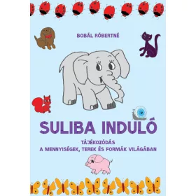   BOBÁL RÓBERTNÉ: SULIBA INDULÓ - TÁJÉKOZÓDÁS A MENNYISÉGEK, TEREK ÉS FORMÁK VILÁGÁBAN