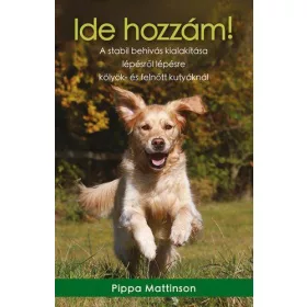   IDE HOZZÁM! - A STABIL BEHÍVÁS KIALAKÍTÁSA LÉPÉSRŐL LÉPÉSRE KÖLYÖK- ÉS FELNŐTT