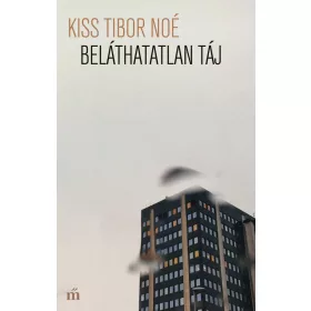 BELÁTHATATLAN TÁJ