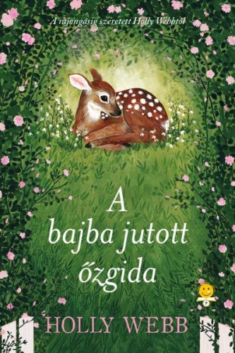 A BAJBA JUTOTT ŐZGIDA - FŰZÖTT