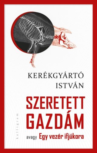 SZERETETT GAZDÁM AVAGY EGY VEZÉR IFJÚKOR