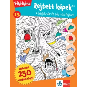REJTETT KÉPEK 13. - BAGOLYVÁR ÉS SOK MÁS FEJTÖRŐK