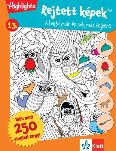 REJTETT KÉPEK 13. - BAGOLYVÁR ÉS SOK MÁS FEJTÖRŐK