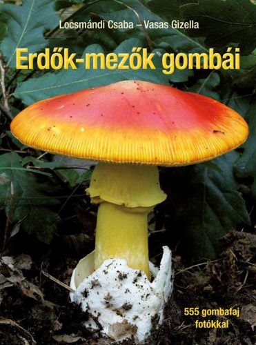 ERDŐK-MEZŐK GOMBÁI - JAVÍTOTT UTÁNNYOMÁS