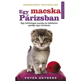   EGY MACSKA PÁRIZSBAN - EGY KÜLÖNLEGES MACSKA ÉS TÖKÉLETLEN GAZDIJA IGAZ TÖRTÉNET