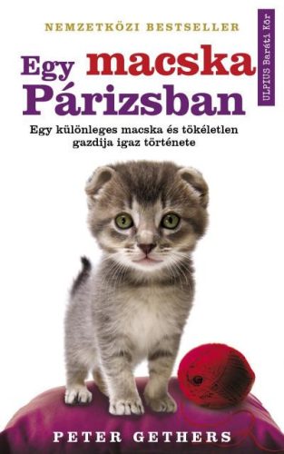 EGY MACSKA PÁRIZSBAN - EGY KÜLÖNLEGES MACSKA ÉS TÖKÉLETLEN GAZDIJA IGAZ TÖRTÉNET