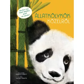 ÁLLATKÖLYKÖK KÖZELRŐL