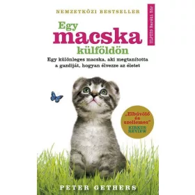 EGY MACSKA KÜLFÖLDÖN