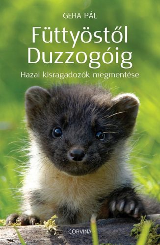 FÜTTYÖSTŐL DUZZOGÓIG - HAZAI KISRAGADOZÓK MEGMENTÉSE