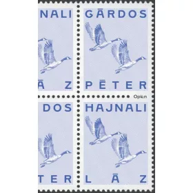 HAJNALI LÁZ