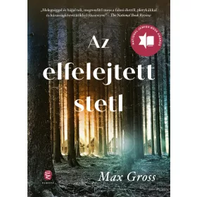 AZ ELFELEJTETT STETL