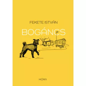 BOGÁNCS - FŰZÖTT