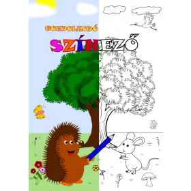 GONDOLKODÓ SZÍNEZŐ