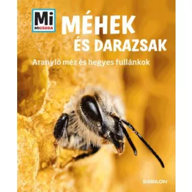 MÉHEK ÉS DARAZSAK - MI MICSODA