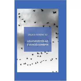 LELKIVEZETÉS AZ EVANGÉLIUMBAN (ÚJ BORÍTÓ)