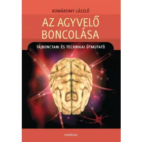 AZ AGYVELŐ BONCOLÁSA