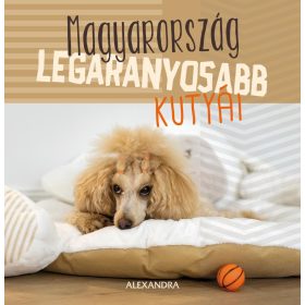 MAGYARORSZÁG LEGARANYOSABB KUTYÁI