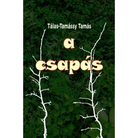 A CSAPÁS